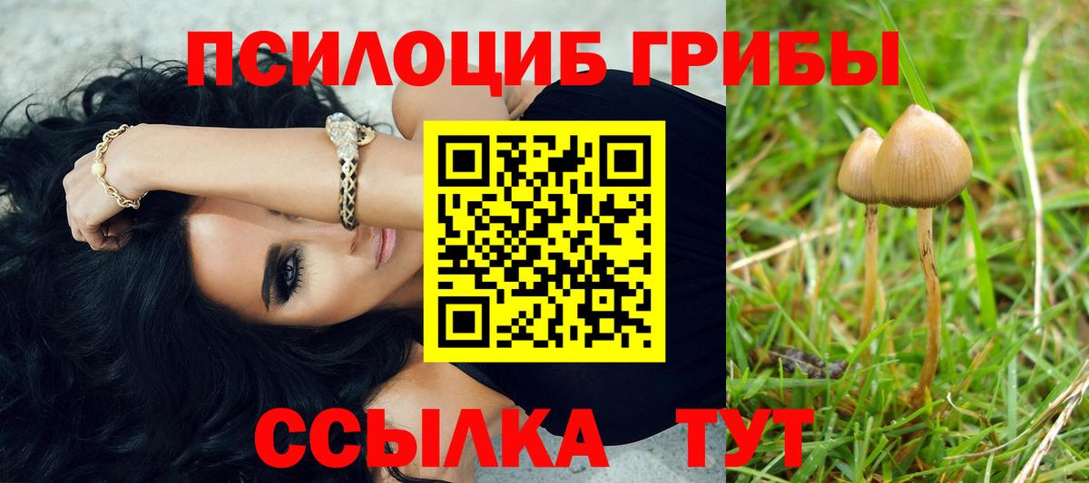 Вейп ТГК Лесной