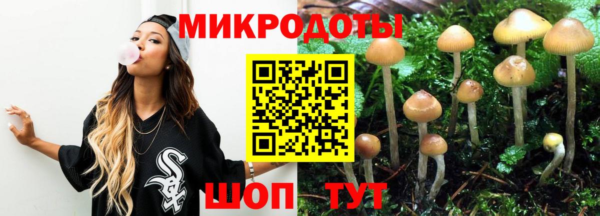 Псилоцибиновые грибы MAGIC MUSHROOMS  Вход с VPN  Лесной 